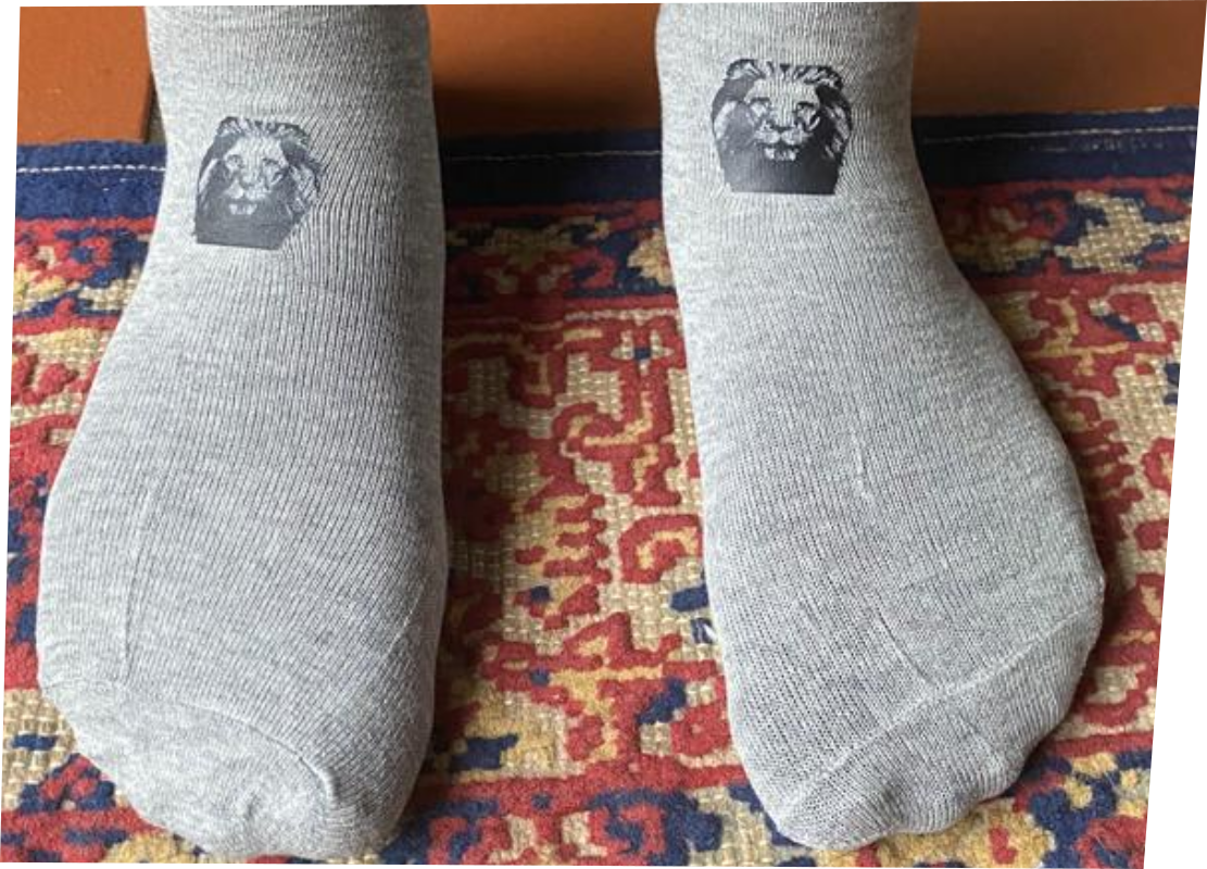 The Big Five Safari Socks Collection
