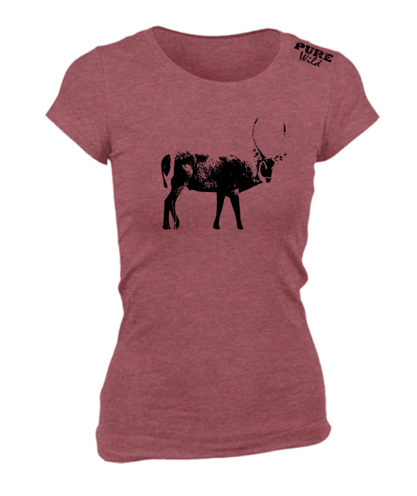 Waterbuck T-Shirt For The Ladies